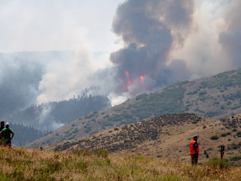 Four people stand on a grassy hill observing a large wildfire burning in the distance, emitting thick smoke and visible flames. The fire spreads through a forested area beyond.