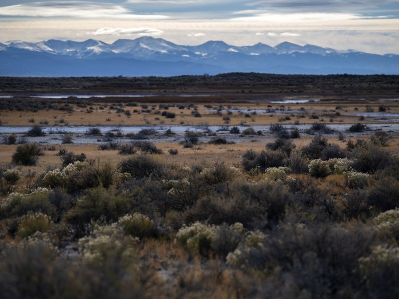 The brush and wetlands of the Blanca Wildlife Habitat Area with mountains behind it.