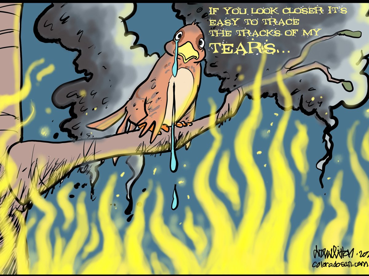 Drew Litton: Sad return of Colorado’s destructive wildfires