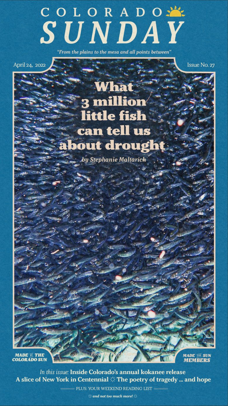 Colorado Sunday issue 27: “What 3 million little fish can tell us about drought”