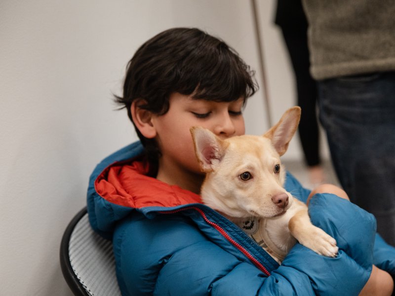 A young boy in a jacket holds onto a Chihuahua