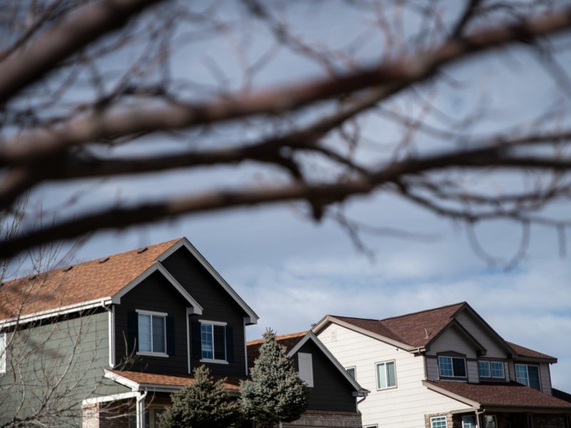 The tops of houses as seen through a tree