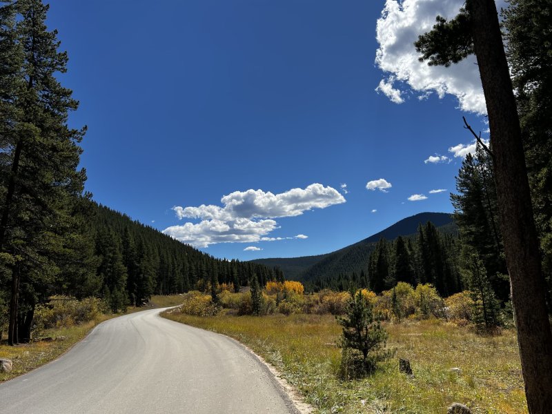 A paved road curves through a forested landscape with green trees, yellowing shrubs, and a clear blue sky with scattered clouds.