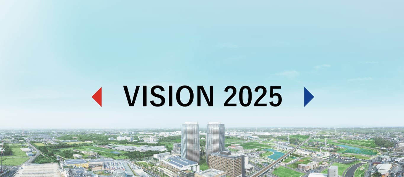 VISION 2025