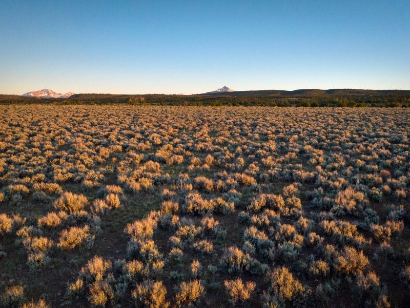 aerial view of sagebrush in open landscape