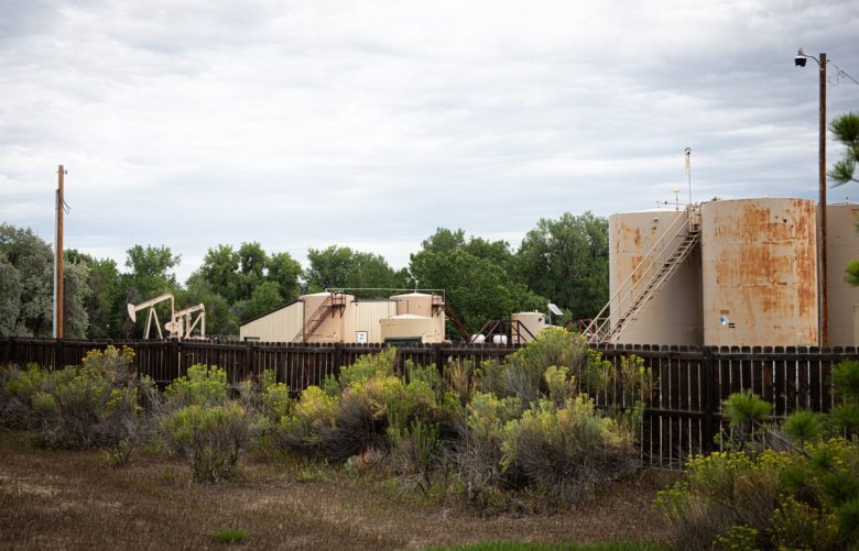 Pump jacks, tank batteries and other equipment at the idled Prospect Energy Fort Collins Meyer oil and gas production site are visible beyond a wooden fence lined with blooming bushes.