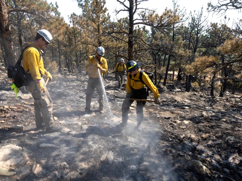 Three firefighters in yellow jackets and helmets work to extinguish smoldering debris in a forest setting with charred trees and ground.