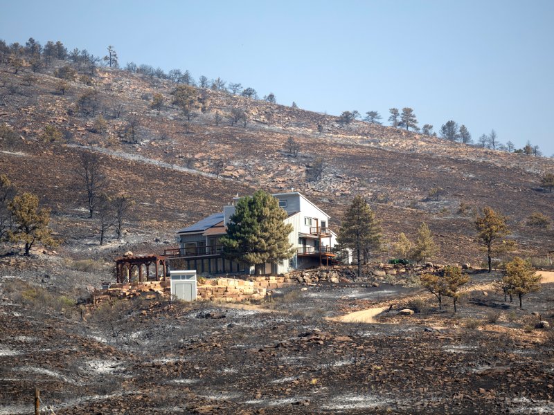 A house stands undamaged amid a charred landscape with burnt trees and ground following a wildfire. A dirt road leads to the house, and there are sparse green trees surrounding the property.