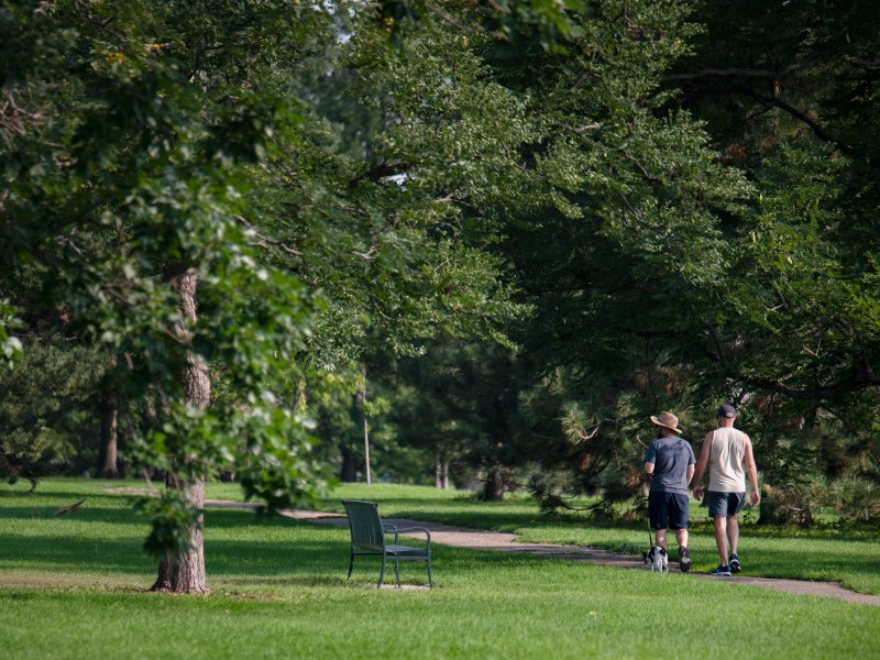 Two people walk along a tree-lined path in a lush green park, with an empty bench nearby.