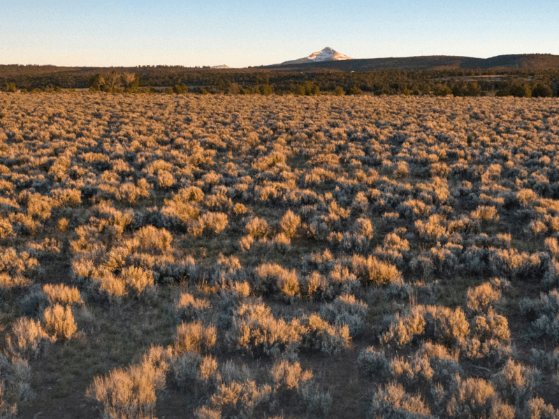 Colorado Sunday issue No. 143: "The battle of Wright's Mesa"