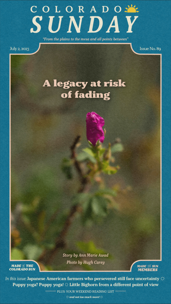 Colorado Sunday issue No. 89: "A legacy at risk of fading"