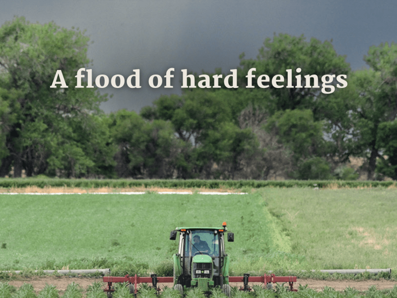 Colorado Sunday issue no. 147: "A flood of hard feelings"